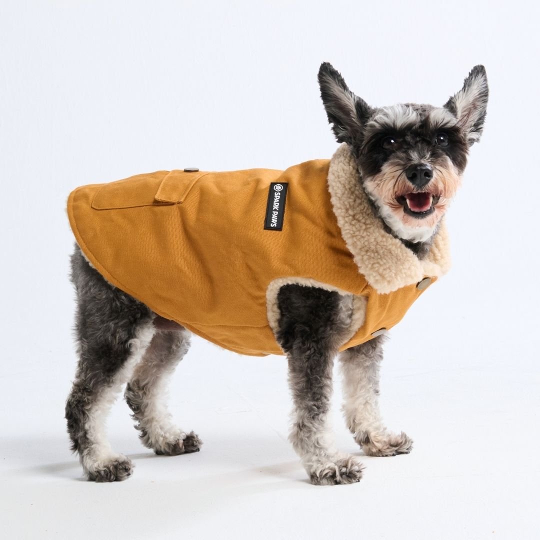  Dog Jacket Coats - Freya Røyal