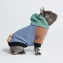  Alpine Dog Hoodie - Freya Røyal