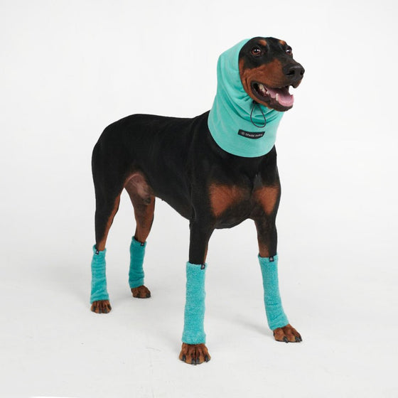 Anxiety Calming Dog Earmuff Protector - Turquoise - Freya Røyal