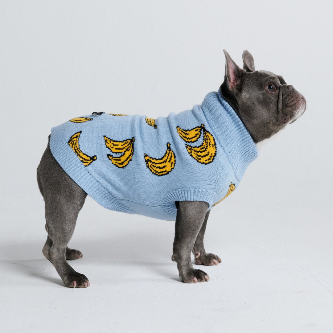  Banana Knit Dog Sweater - Freya Røyal