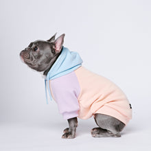  Cotton Candy Dog Hoodie - Freya Røyal