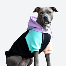  Cyber Punk Dog Hoodie - Freya Røyal