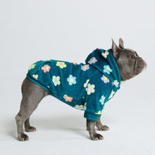  Daisy Dog Hoodie - Green - Freya Røyal