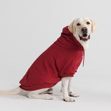  Essential Dog Hoodie - Burgundy - Freya Røyal