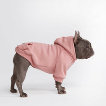  Essential Dog Hoodie - Dusty Pink - Freya Røyal