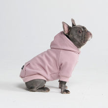  Essential Dog Hoodie - Purple Taupe - Freya Røyal