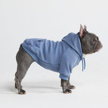  Essential Dog Hoodie - Slate Blue - Freya Røyal